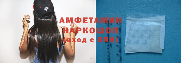 гашик Алексеевка