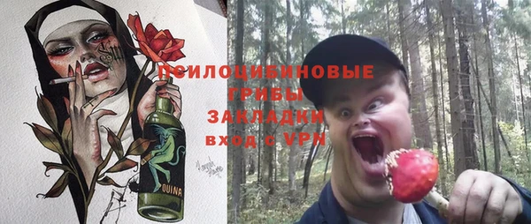 гашик Алексеевка