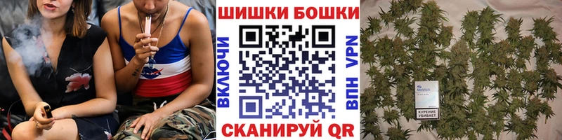 Каннабис планчик  дарнет шоп  Нижнеудинск 